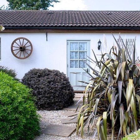 Ashton Cottages Cheddar Luaran gambar
